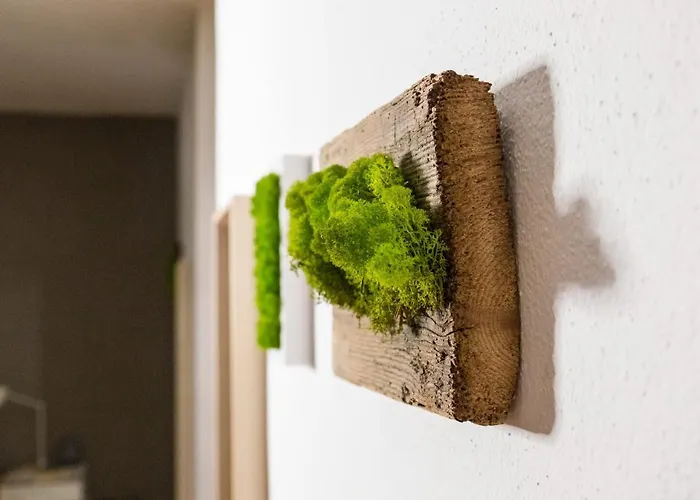 Maison Boch